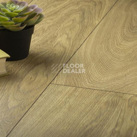 Kronopol Aurum Volo Aqua Zero 4577 Дуб Hawk фото 2 | FLOORDEALER